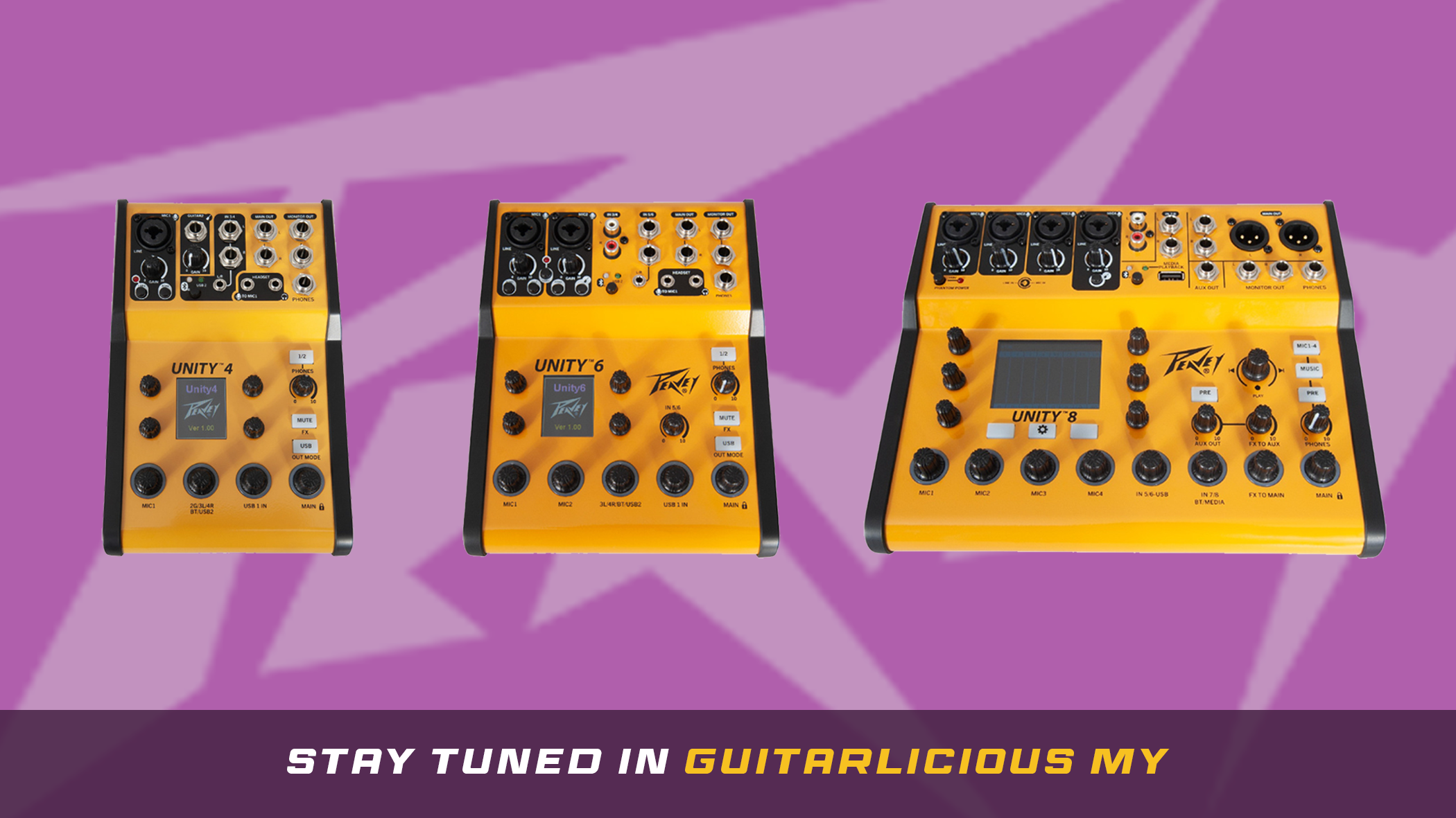 Peavey Unity Series: The 