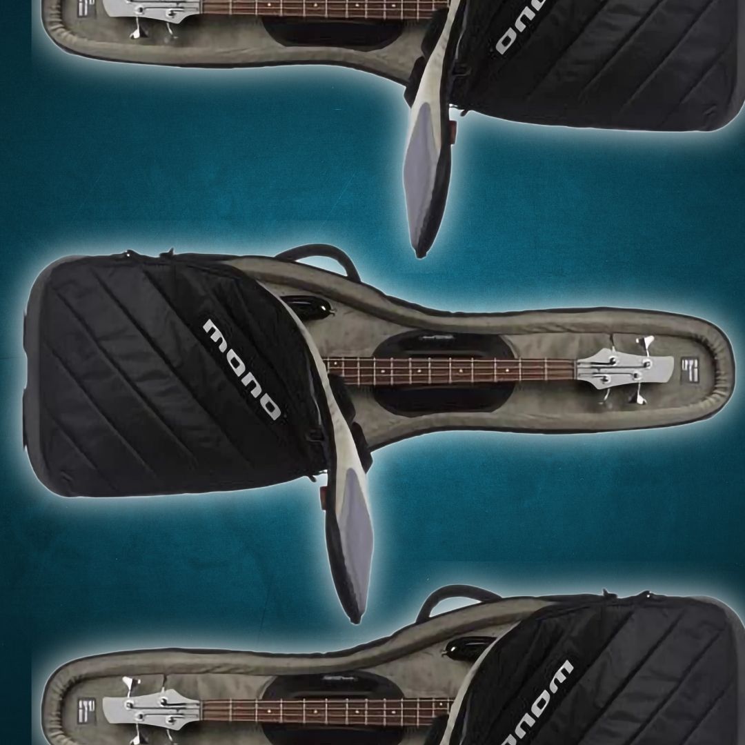 Bass Guitar Gig Bag – GUITARLICIOUS