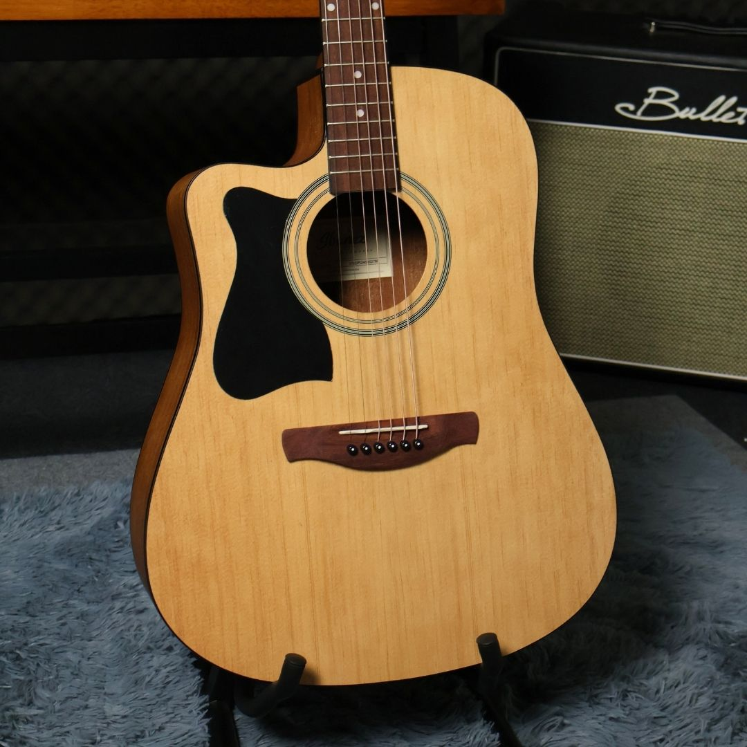 Left Handed Acoustic Guitar