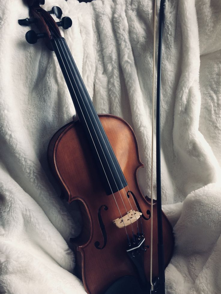 Viola