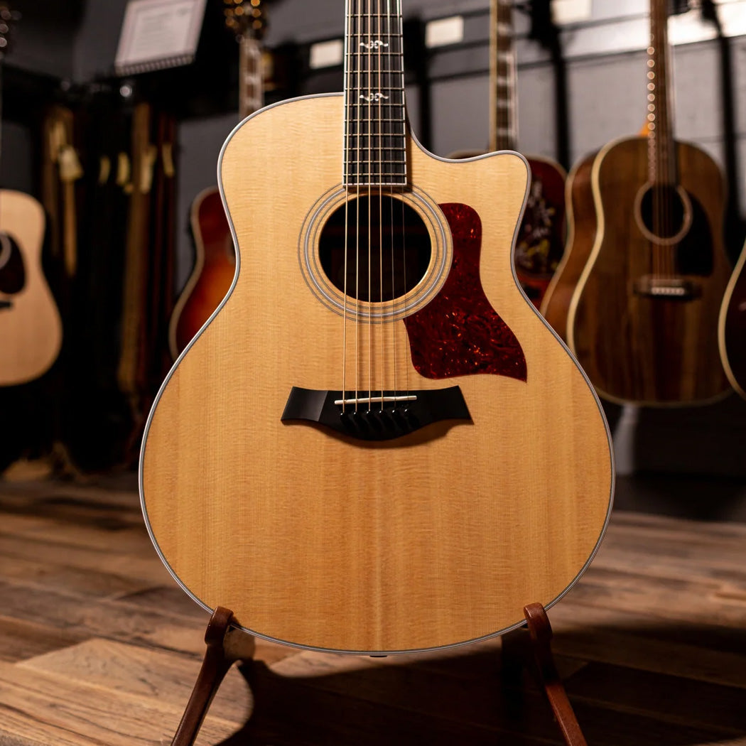 Acoustic Guitar