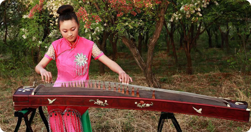 Chinese instruments