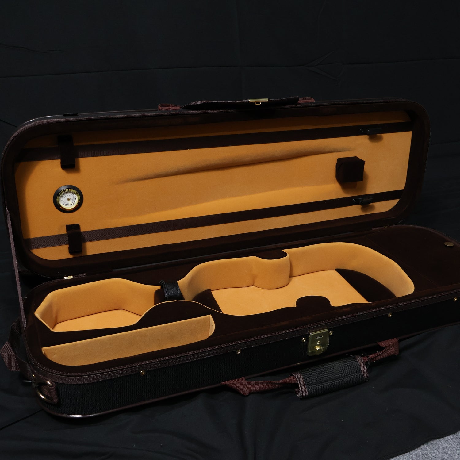 Violin Case