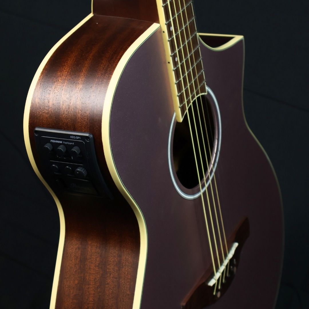 Acoustic Guitar with Pickups