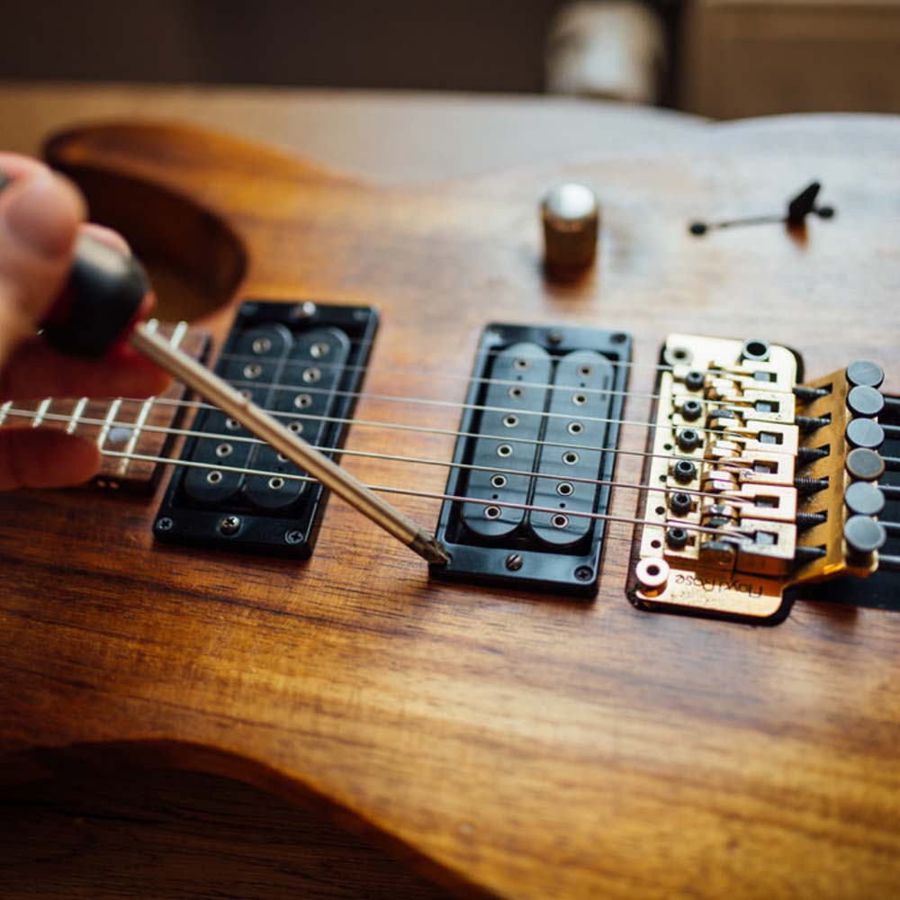 Electric Humbucker