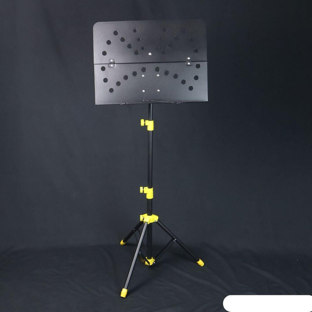 Conductor/ Music Stand