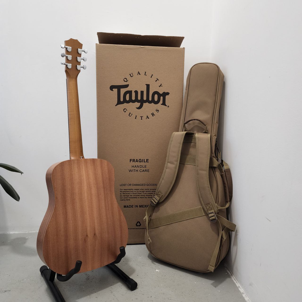 Taylor Baby Mahogany BT2-E 3/4 Dreadnought Acoustic Electric
