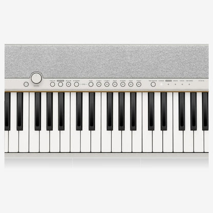 Casio CT-S1-76, 76 Key Portable Keyboard ( CTS1 / CTS176  / CTS1-76 )