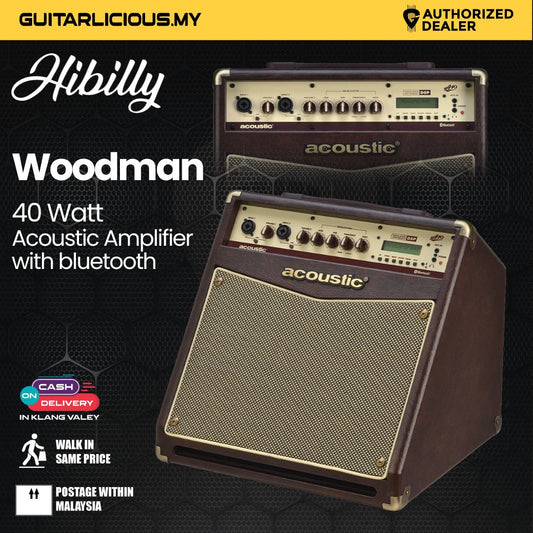 Hibilly Woodman 40 Watt Acoustic Amplifier with Microphone Input, Chorus, Phase and Bluetooth