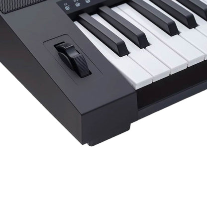 Medeli MK401 61 Keys Keyboard ( MK401 / MK-401 )