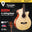 SQOE B20N Solid Wood Acoustic 4-string Bass Guitar with EQ