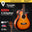 SQOE B20N Solid Wood Acoustic 4-string Bass Guitar with EQ