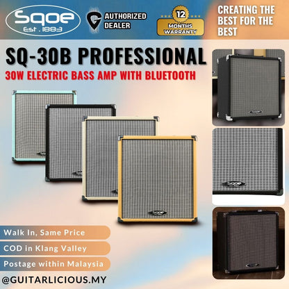 Sqoe SQ-30B Professional 30W Electric Bass Amp w Bluetooth ( SQ30B / SQ 30B )