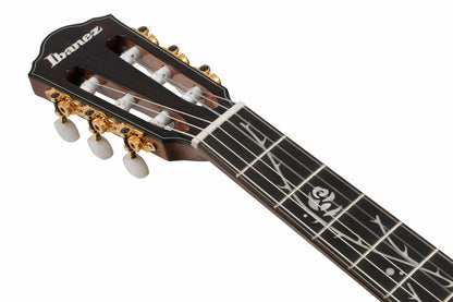 Ibanez TOD100N Tim Henson Signature Nylon-string Acoustic-electric Guitar - Natural High Gloss