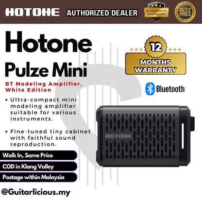 Hotone Pulze Mini BT Modeling Amplifier, Black Edition
