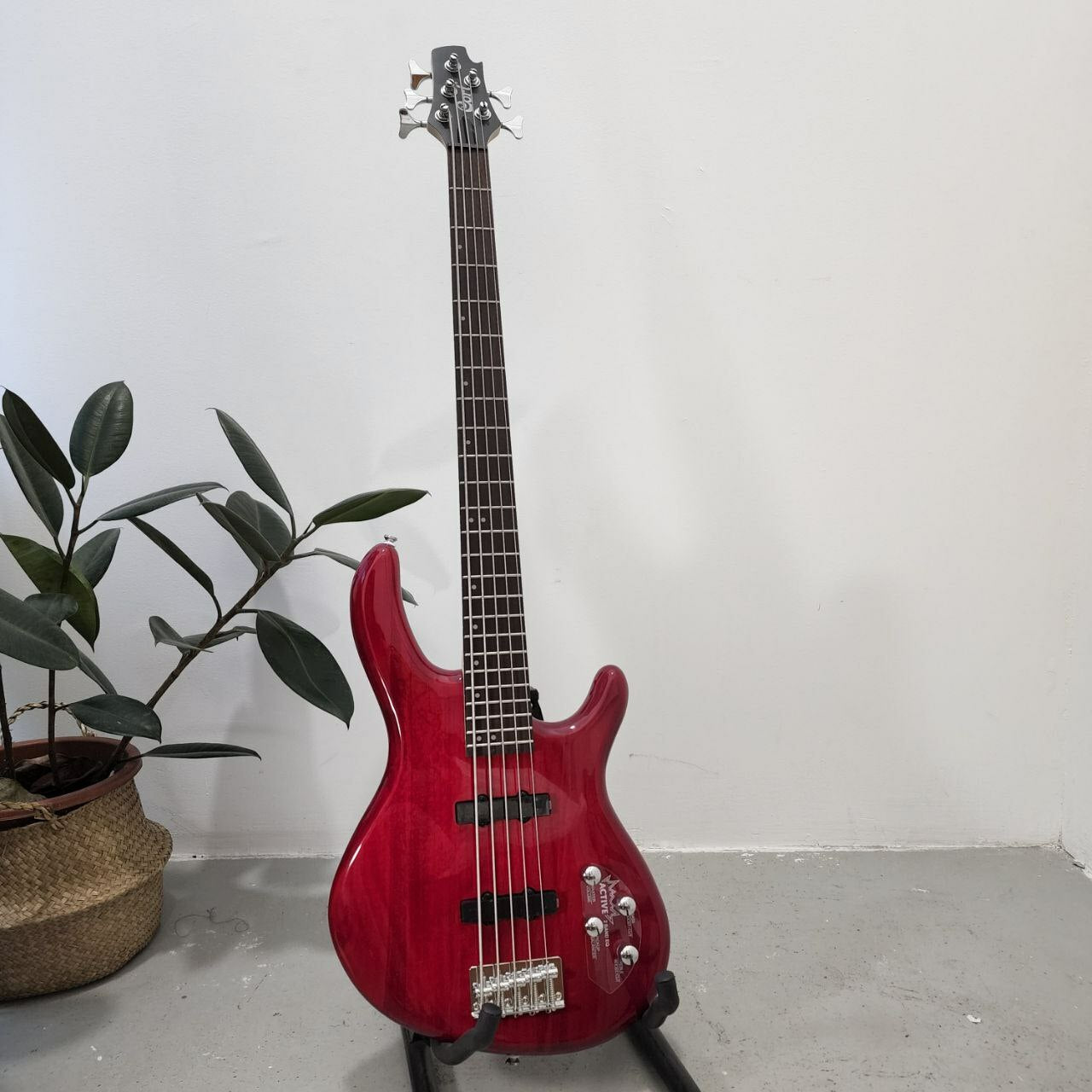 Cort エレキベース Action Bass Plus レッド 最終】Cort エレキベース
