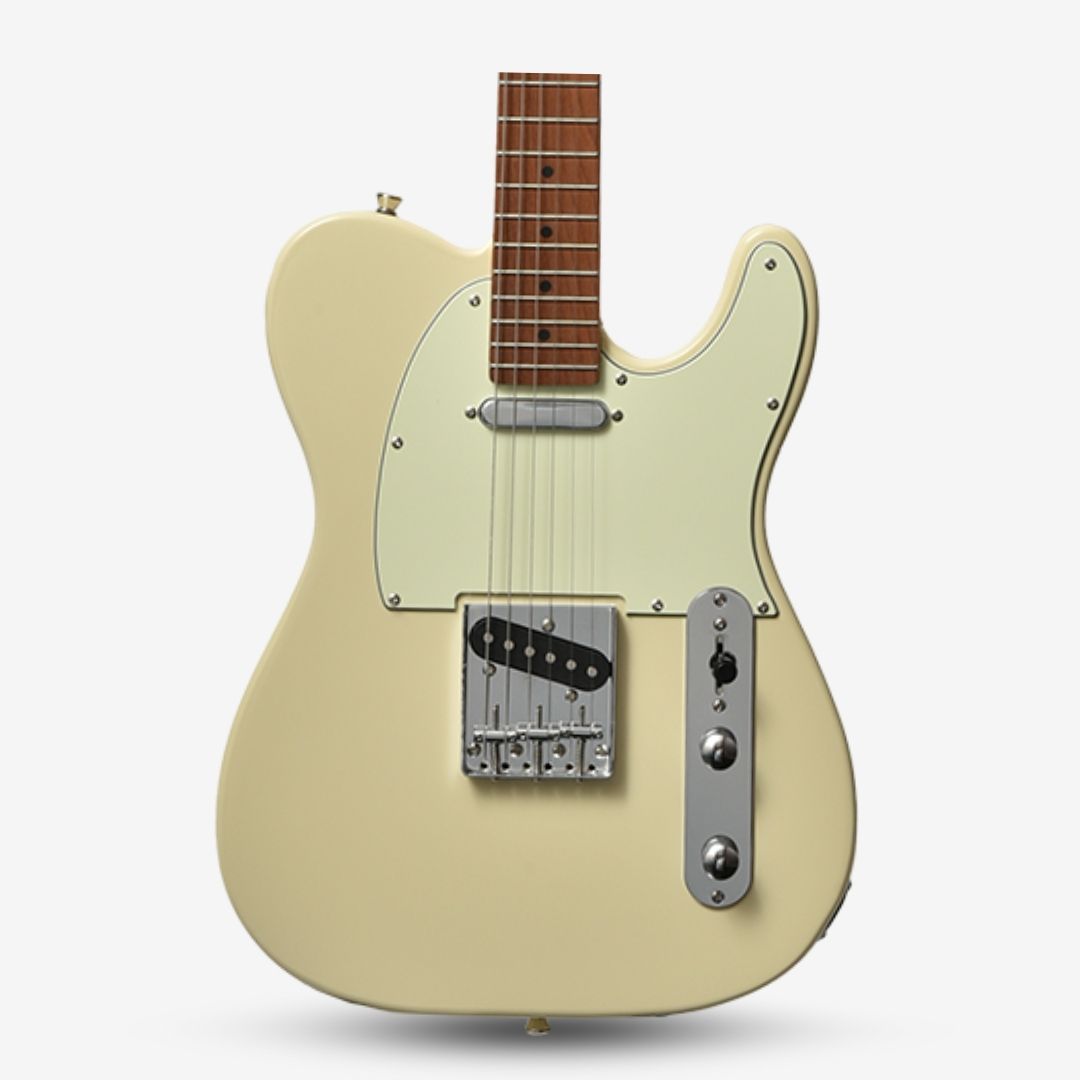 Bacchus BTE-1-RSM/M Roasted Maple Fretboard, Telecaster Electric