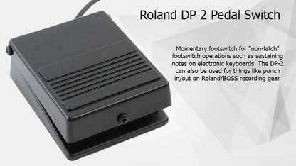 Roland DP-2 Keyboard/Piano Damper Pedal (DP2)