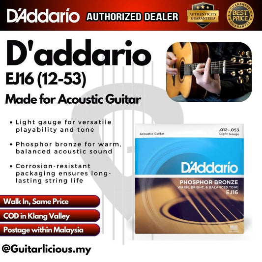 D’addario EJ16 Phosphor Bronze Acoustic Guitar Strings, Light, 12-53 Gauge ( 012-053 )