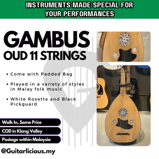 Traditional 11 String Gambus / Oud with Padded Bag