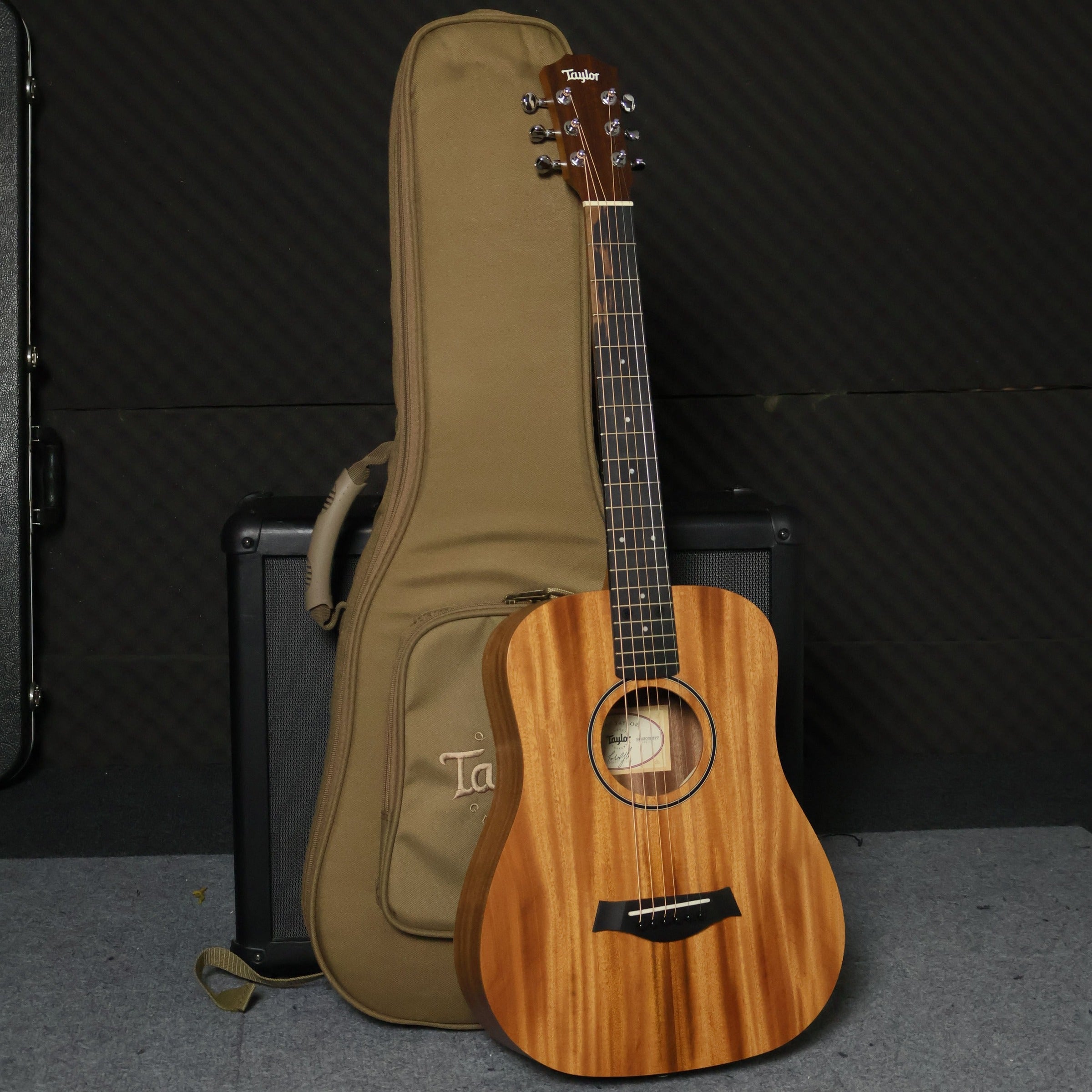 Baby Taylor Mahogany (BT2)とRITTERのギグバッグ Baby Taylor Mahogany (BT2)とRITTERのギグバッグ Taylor BT2e Baby