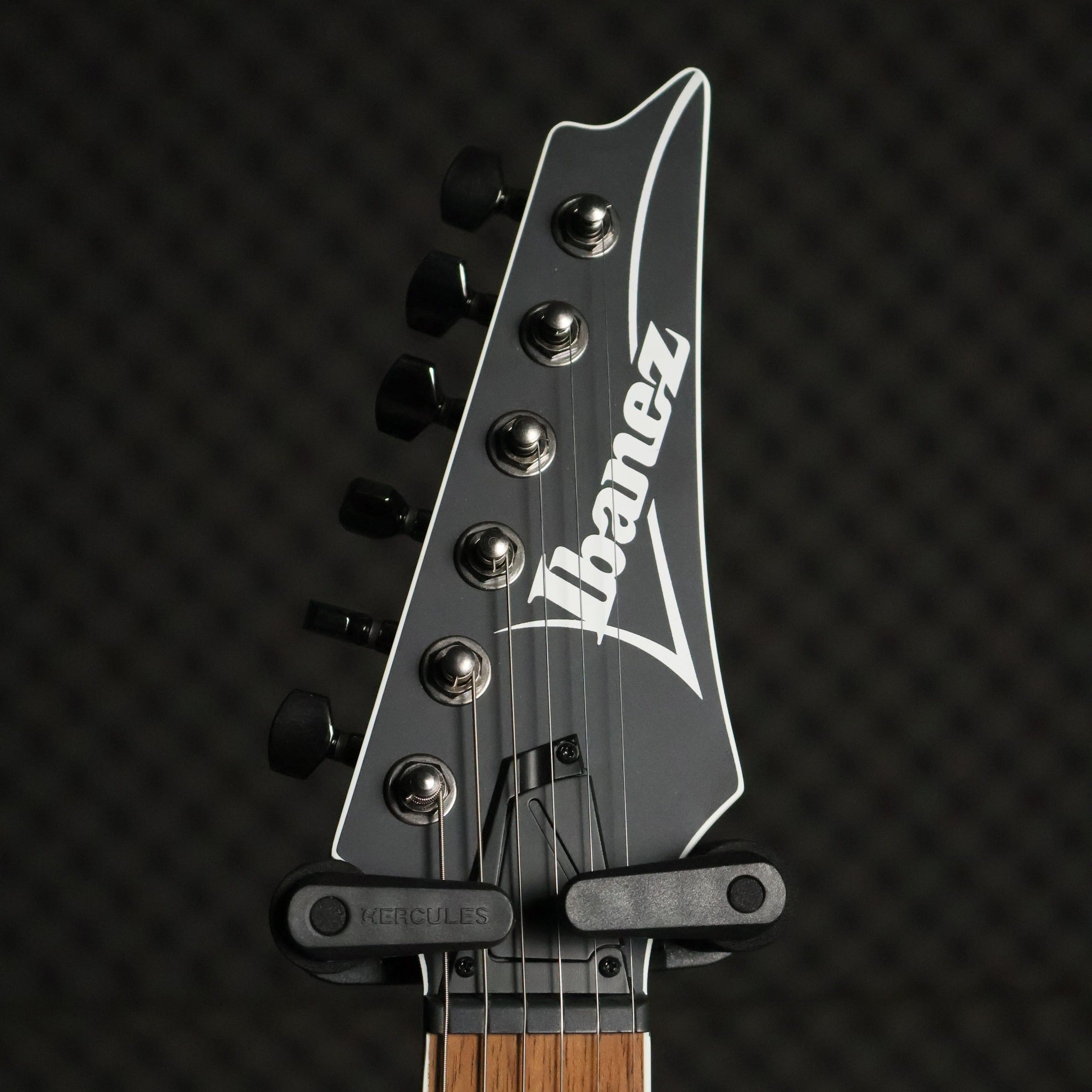 Ibanez RG421S HH Humbucker Electric Guitar - Sea Shore Matte
