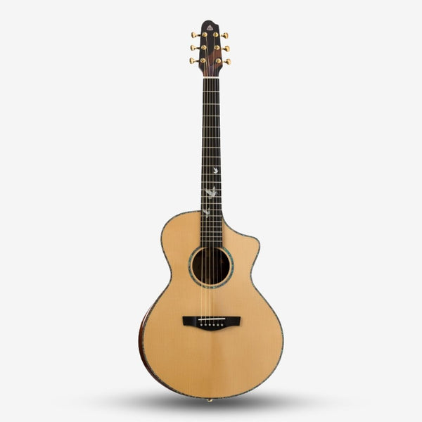 Covenant Guitar 750C Full Solid 41 inch Acoustic Guitar, including Hard Case and Accessories- Website Clearance