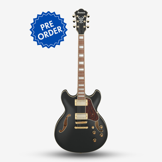 Ibanez AS73G Artcore AS Series Semi-Hollow Electric Guitar - Black Flat (Pre-Order)