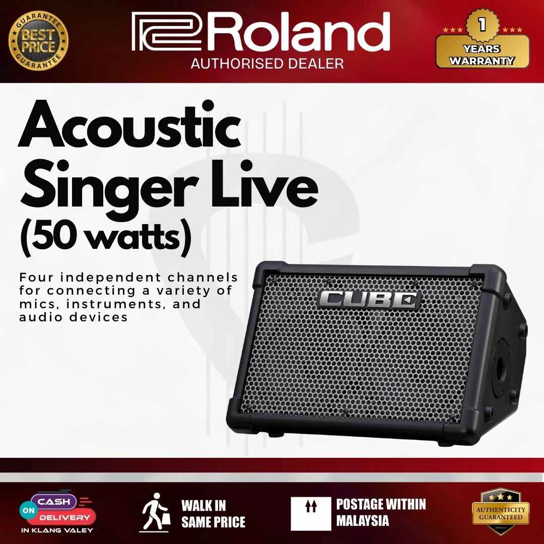 Roland CUBE Street EX 50W Guitar Amplifier Battery Powered Speaker
