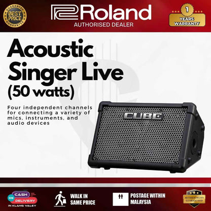 Roland CUBE Street EX 50W Guitar Amplifier Battery Powered Speaker Amp With Effect