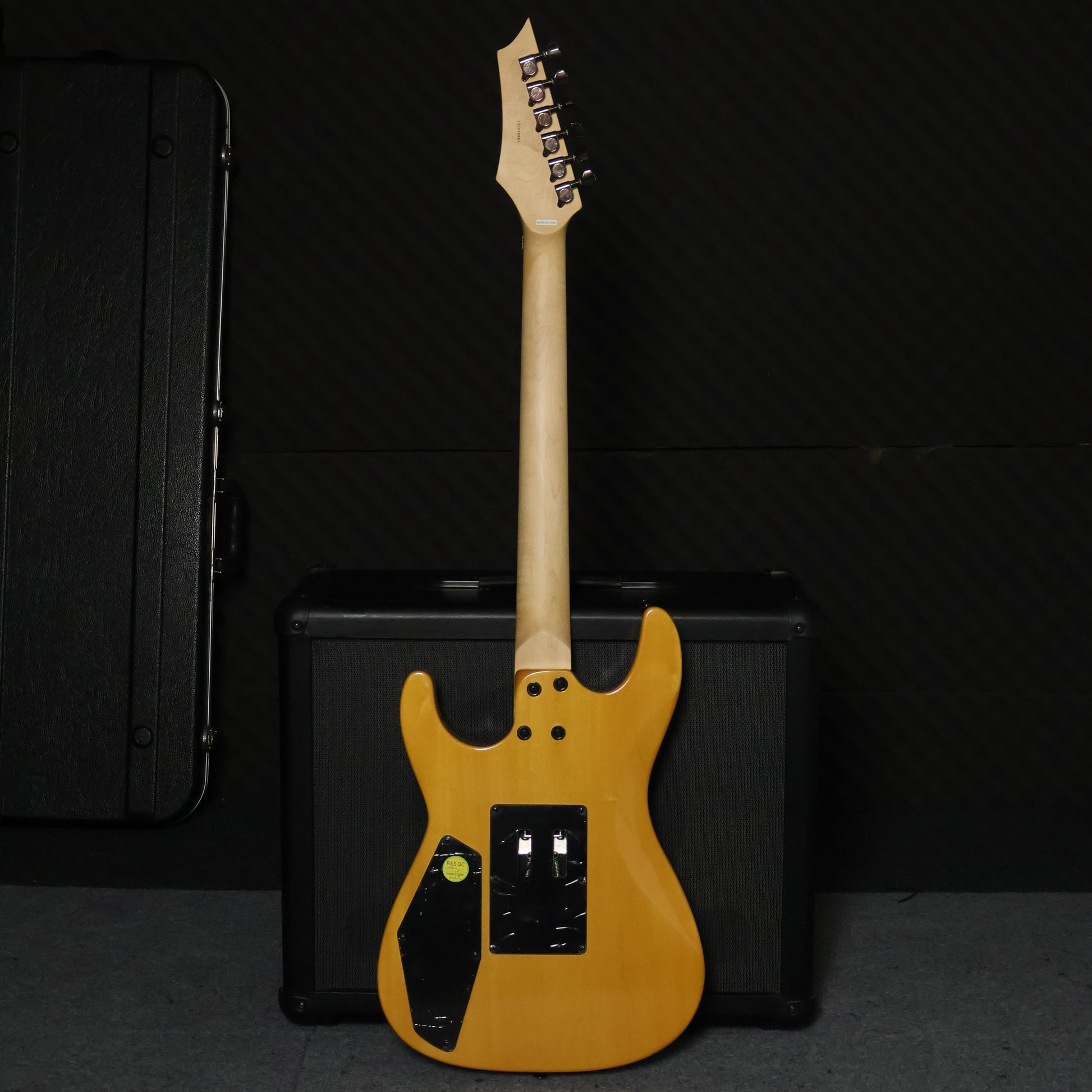 Dean Custom 350 Flame Maple Top Floyd Rose Gloss Natural (3)
