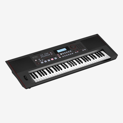 Roland E-X50 61-Key Arranger Keyboard