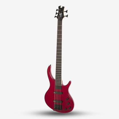 Epiphone Toby Deluxe V 5 String Bass Guitar, Translucent Red (E09-EBD5TRBH1)