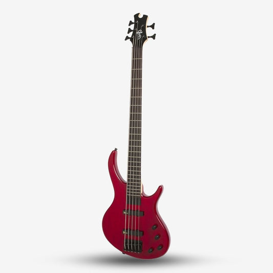 Epiphone Toby Deluxe V 5 String Bass Guitar, Translucent Red (E09-EBD5TRBH1)