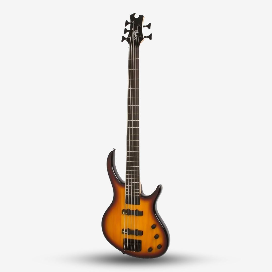 Epiphone Toby Deluxe V 5 String Bass Guitar, Vintage Sunburst (E09-EBD –  GUITARLICIOUS