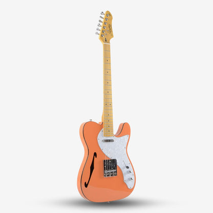 Firefly FFTH Thinline Telecaster Semi-Hollow Electric Guitar with bag ( FF TH / Semi Hollow )