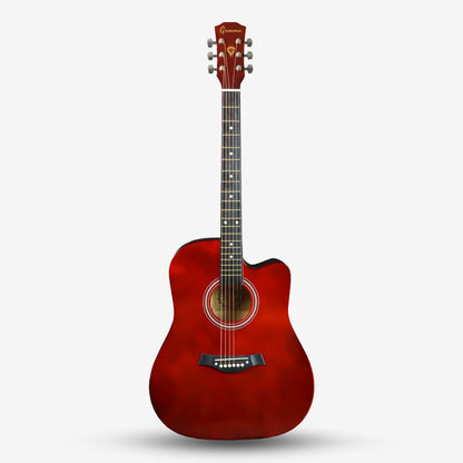 GAMMA Series 41inch Beginner Acoustic Guitar with Bag ( FT221 / FT-221 )