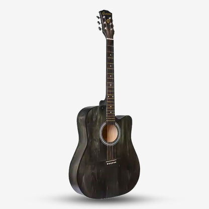 GAMMA Series 41inch Beginner Acoustic Guitar with Bag ( FT221 / FT-221 )