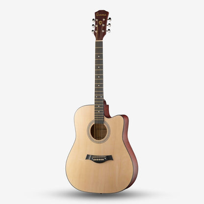 GAMMA Series 41inch Beginner Acoustic Guitar with Bag ( FT221 / FT-221 )