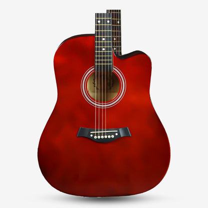 GAMMA Series 41inch Acoustic Guitar with 2 band EQ / Semi Acoustic ( FT221-EQ / FT-221-EQ / FT 221 EQ )