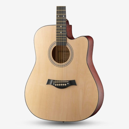 GAMMA Series 41inch Acoustic Guitar with 2 band EQ / Semi Acoustic ( FT221-EQ / FT-221-EQ / FT 221 EQ )