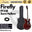 Firefly Semi Hollow Body Electric Guitar with Double Closed Humbucker (FF338 / FF 338)