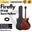 Firefly Semi Hollow Body Electric Guitar with Double Closed Humbucker (FF338 / FF 338)