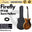 Firefly Semi Hollow Body Electric Guitar with Double Closed Humbucker (FF338 / FF 338)