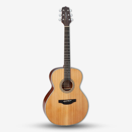 Takamine GN20 NS Nex Body Solid Cedar Top Acoustic Guitar ( GN20NS / GN20-NS)