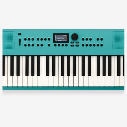 Roland GO:KEYS 3 Portable Keyboard with Bluetooth and MIDI ( RolandGO KEYS3 / GO-61K / GO-3 / GOKEYS3 )