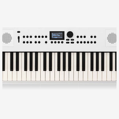 Roland GO:KEYS 5 Portable Keyboard with Bluetooth and MIDI ( RolandGO KEYS5 / GO-61K / GO-5 / GOKEYS5 )