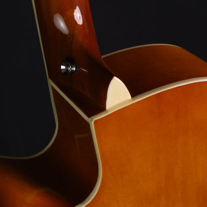 Gamma GM-4111 Acoustic Guitar with EQ with G2 Transacoustic Pickups, with Build in Effects, and Bluetooth Connection for Backing Track