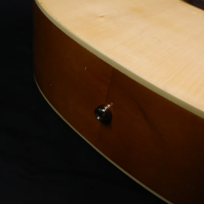 Gamma GM-4111 Acoustic Guitar with EQ with G2 Transacoustic Pickups, with Build in Effects, and Bluetooth Connection for Backing Track