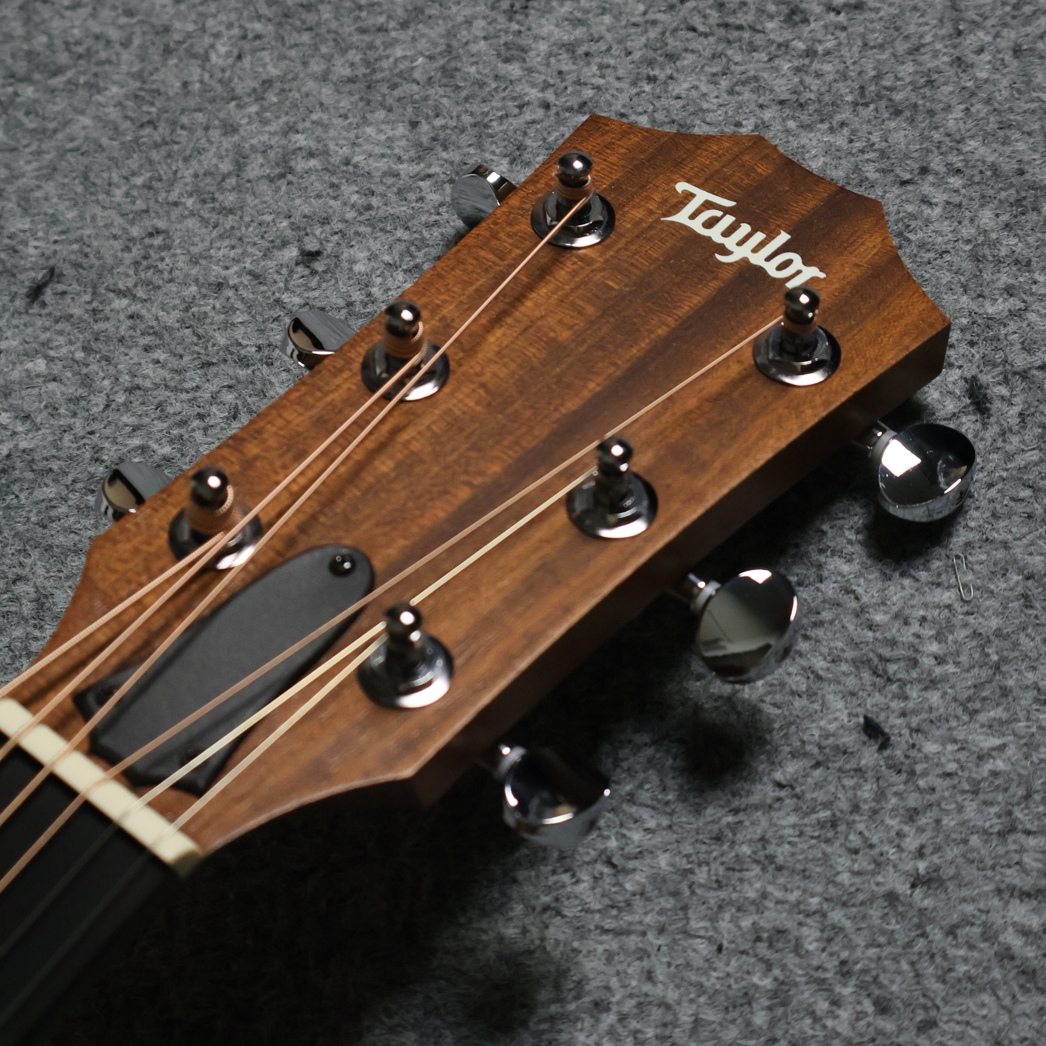 Taylor Big Baby Taylor Acoustic Guitar With Gig Bag , 38inch ( BBT